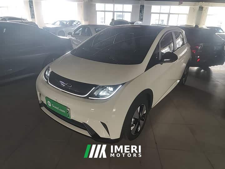 BYD Dolphin 420km Fashion Edition - ავტომობილი ჩინეთიდან