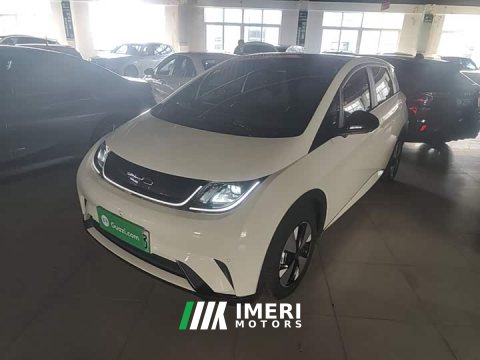 2023 BYD Dolphin 420km Fashion Edition - ავტომობილი ჩინეთიდან