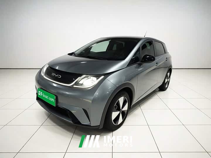 BYD Dolphin 420km Fashion Edition - ავტომობილი ჩინეთიდან