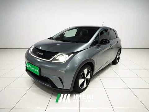 2023 BYD Dolphin 420km Fashion Edition - ავტომობილი ჩინეთიდან