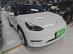 Tesla Model Y Rear-Wheel Drive - ფოტო 4