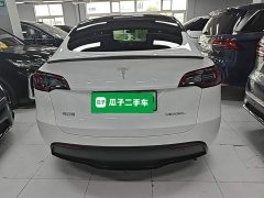 Tesla Model Y Rear-Wheel Drive - ფოტო 6