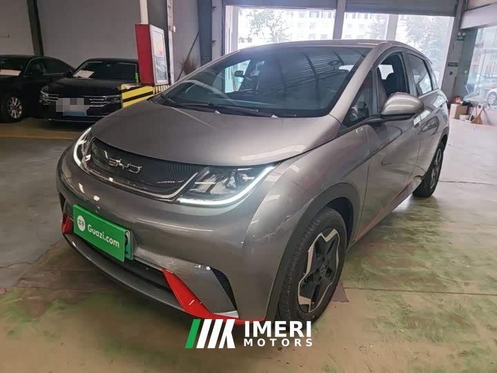 BYD Dolphin 405km Freedom Edition - ავტომობილი ჩინეთიდან