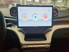 BYD Dolphin 405km Freedom Edition - ფოტო 12