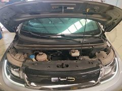BYD Dolphin 405km Freedom Edition - ფოტო 19