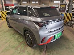 BYD Dolphin 405km Freedom Edition - ფოტო 4