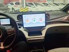 BYD Dolphin 405km Freedom Edition - ფოტო 9