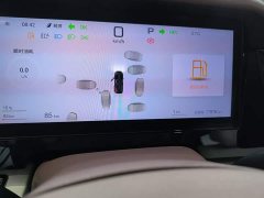 BYD Summer DM-i 1.5T 100km Excellence Edition - ფოტო 12
