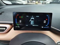 BYD Seagull Glory Edition 305km Freedom Version - ფოტო 11