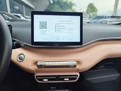 BYD Seagull Glory Edition 305km Freedom Version - ფოტო 12