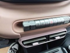 BYD Seagull Glory Edition 305km Freedom Version - ფოტო 13