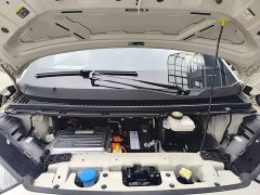 BYD Seagull Glory Edition 305km Freedom Version - ფოტო 19