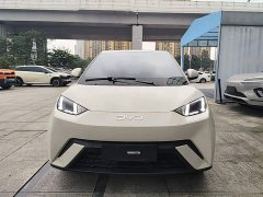 BYD Seagull Glory Edition 305km Freedom Version - ფოტო 2