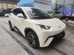 BYD Seagull Glory Edition 305km Freedom Version - ფოტო 3