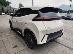 BYD Seagull Glory Edition 305km Freedom Version - ფოტო 4