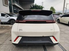 BYD Seagull Glory Edition 305km Freedom Version - ფოტო 5