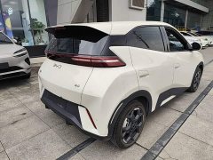 BYD Seagull Glory Edition 305km Freedom Version - ფოტო 6