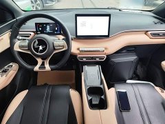 BYD Seagull Glory Edition 305km Freedom Version - ფოტო 9