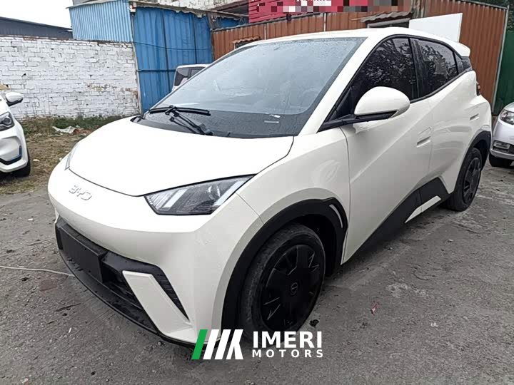 BYD Seagull Vitality Edition - ავტომობილი ჩინეთიდან