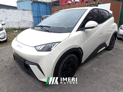 2023 BYD Seagull Vitality Edition