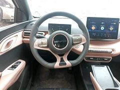 BYD Seagull Vitality Edition - ფოტო 10