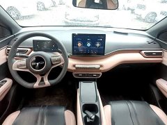 BYD Seagull Vitality Edition - ფოტო 9