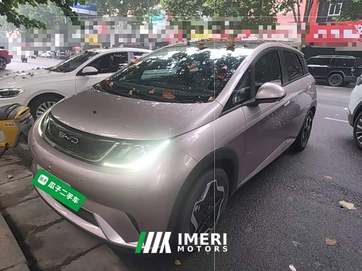 BYD Dolphin 405km Fashion Edition - ავტომობილი ჩინეთიდან