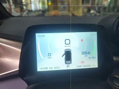 BYD Dolphin 405km Fashion Edition - ფოტო 12