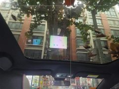 BYD Dolphin 405km Fashion Edition - ფოტო 18