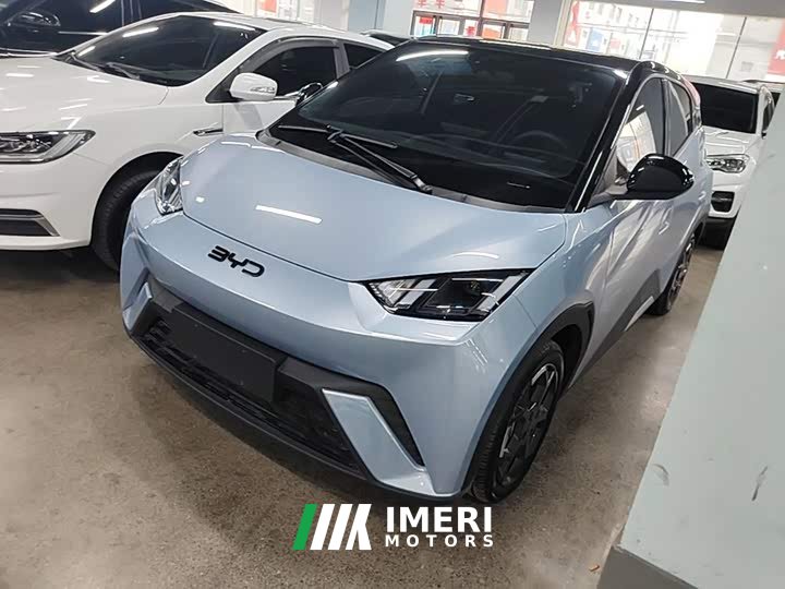 BYD Seagull 2025 305km Freedom Edition - ავტომობილი ჩინეთიდან