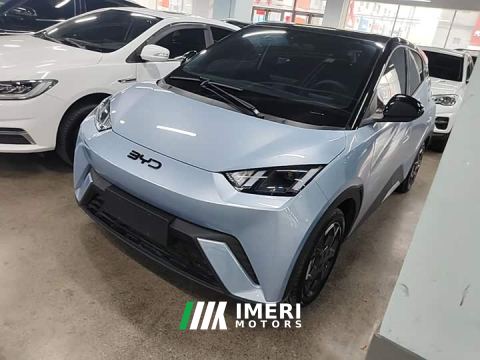 2024 BYD Seagull 305km Freedom Edition