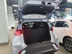 BYD Seagull 2025 305km Freedom Edition - ფოტო 19