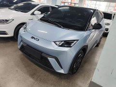 BYD Seagull 2025 305km Freedom Edition - ფოტო 2