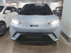 BYD Seagull 2025 305km Freedom Edition - ფოტო 3