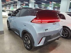BYD Seagull 2025 305km Freedom Edition - ფოტო 5