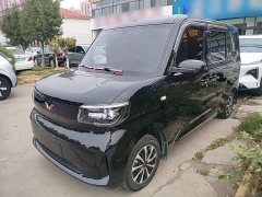 Wuling Zhiguang New Energy 201km Standard - ფოტო 1