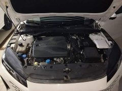 Changan Yida Blue Whale NE 1.5T GDI DCT Navigator - ფოტო 19