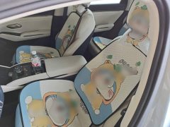 BYD Qin L DM-i 80KM Excellence Edition - ფოტო 14