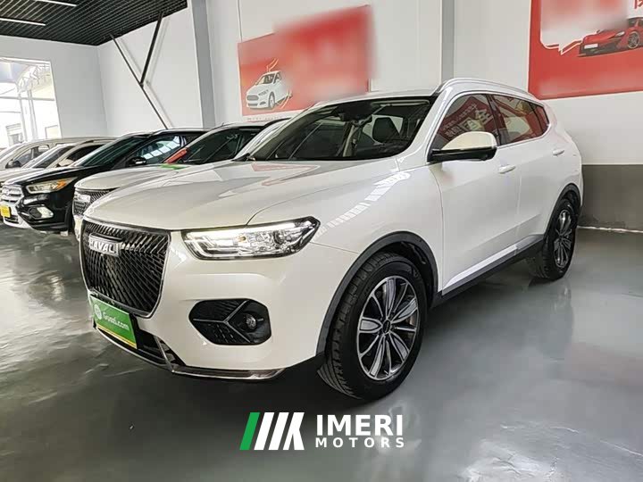 Haval H6 1.5T Automatic Champion Edition - ავტომობილი ჩინეთიდან