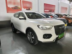 Haval H6 1.5T Automatic Champion Edition - ფოტო 3