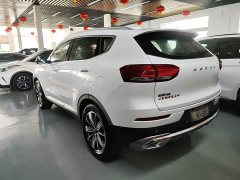 Haval H6 1.5T Automatic Champion Edition - ფოტო 4