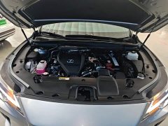 Lexus RX 300 AWD Premium Edition - ფოტო 19