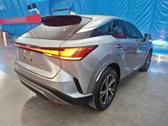 Lexus RX 300 AWD Premium Edition - ფოტო 6
