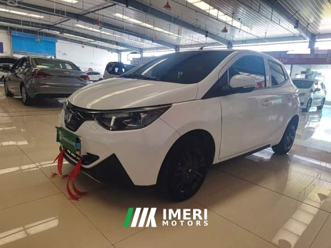 2024 Yizhi EV2 Auspicious Edition 201km Comfort - автомобиль из Китая