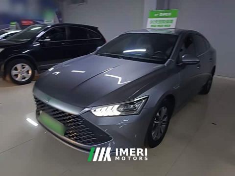 2024 BYD Qin PLUS Glory Edition DM-i 55KM Leading