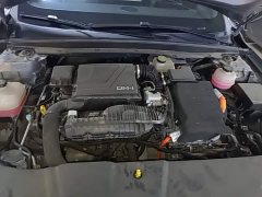 BYD Qin PLUS Glory Edition DM-i 55KM Leading - ფოტო 19
