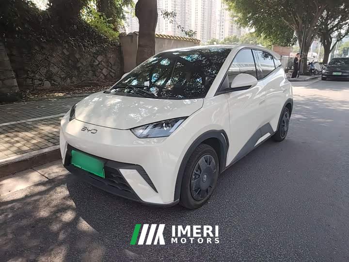 BYD Seagull Glory Edition 305km Vitality Version - ავტომობილი ჩინეთიდან