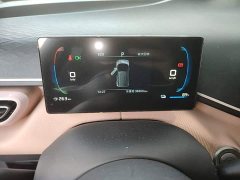 BYD Seagull Glory Edition 305km Vitality Version - ფოტო 10
