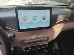 BYD Seagull Glory Edition 305km Vitality Version - ფოტო 11