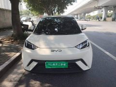 BYD Seagull Glory Edition 305km Vitality Version - ფოტო 2